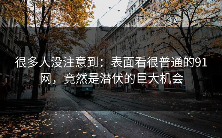 很多人没注意到：表面看很普通的91网，竟然是潜伏的巨大机会  第1张